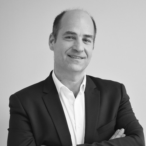 David Regin, Consultim
